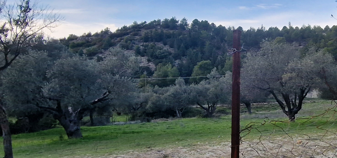 Οικόπεδο  σε πλειστηριασμό Δήμος Ρόδου