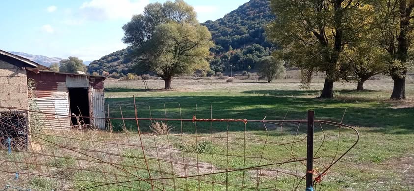 Οικόπεδο με κτίσμα  σε πλειστηριασμό Δήμος Αιγιαλείας