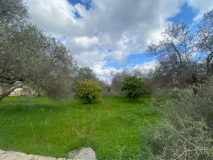 Οικόπεδο  σε πλειστηριασμό Δήμος Χανίων