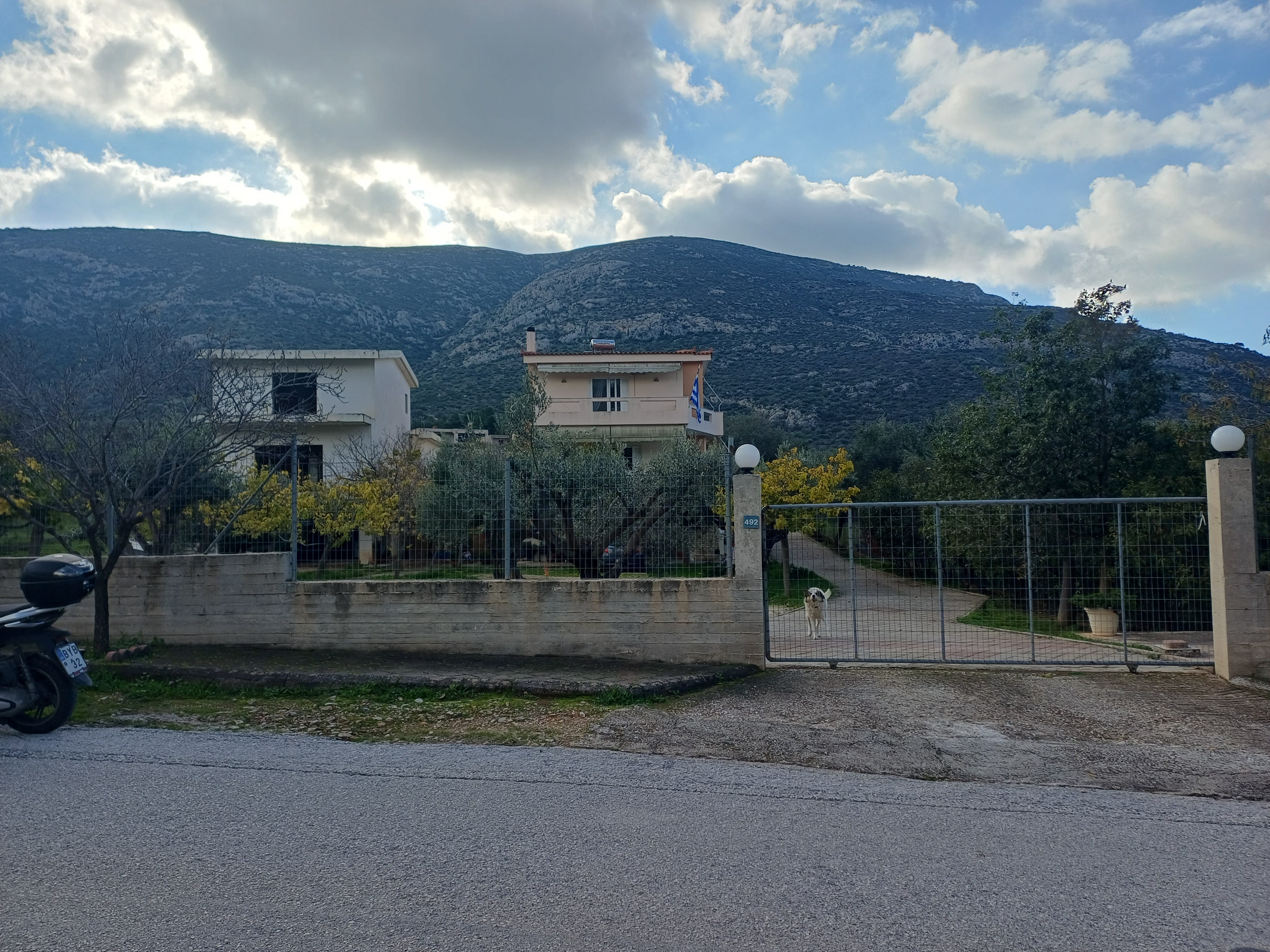 photo1