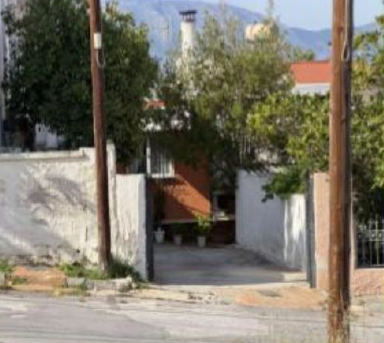 photo5