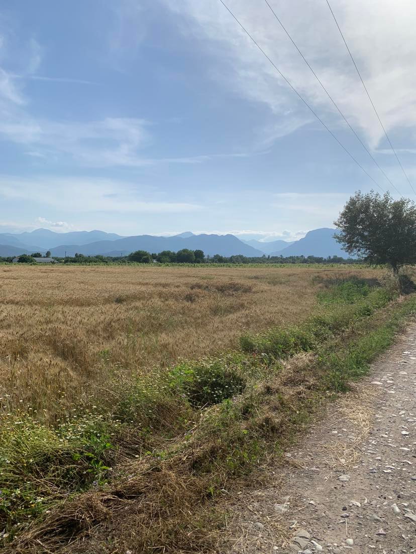 Αγροτεμάχιο  σε πλειστηριασμό Δήμος Τρικκαίων