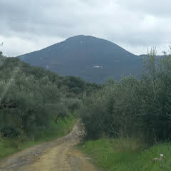 photomain