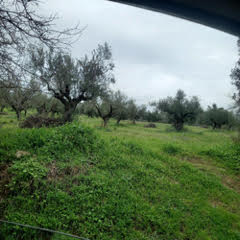 photo1
