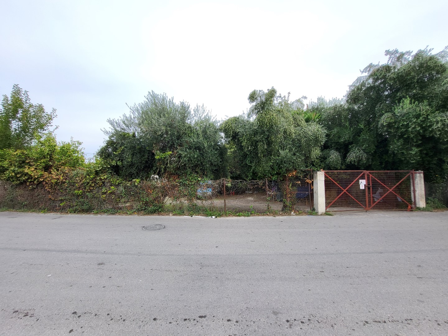 photo0