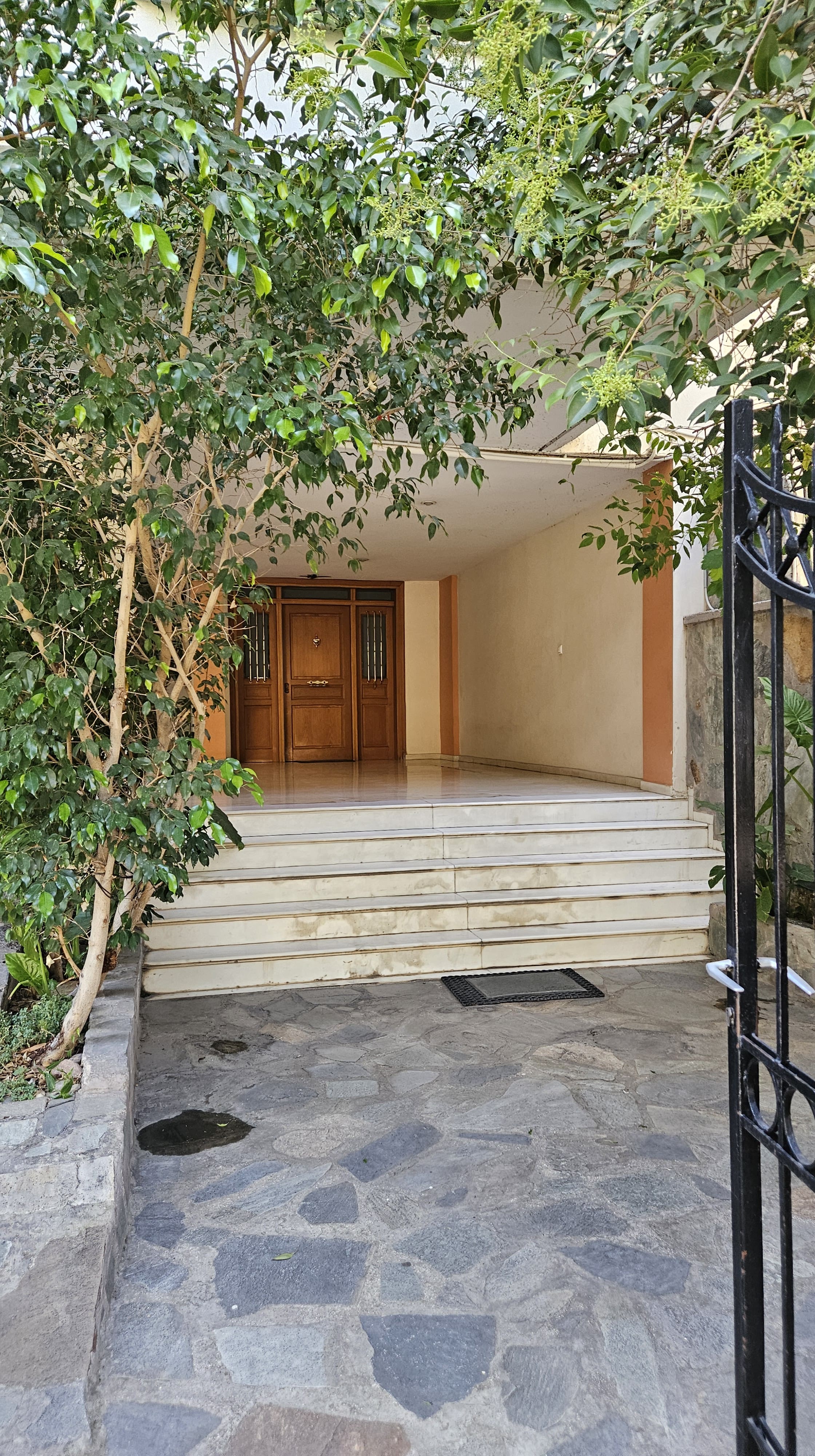 photo1
