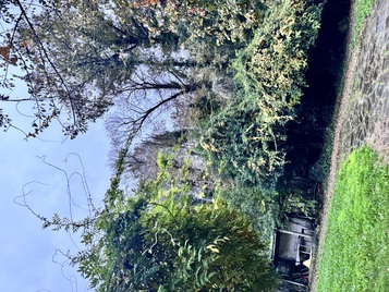 photo1