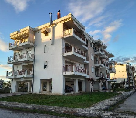 photo1