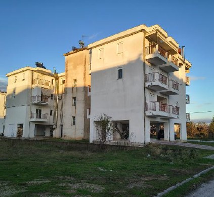 photo3