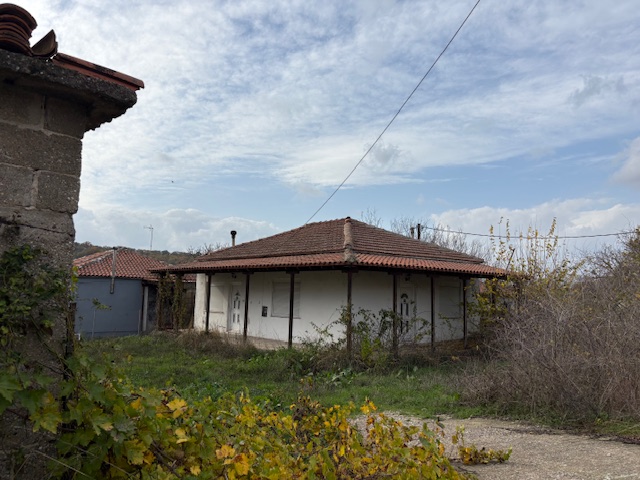 photo0