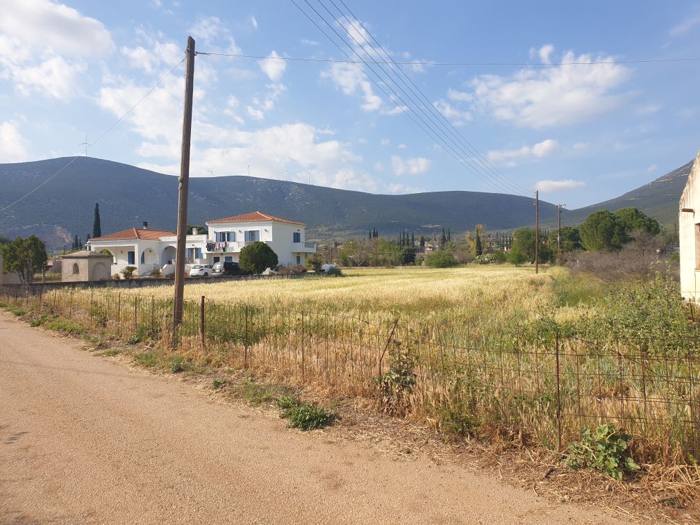 Αγροτεμάχιο 500 τ.μ. σε πλειστηριασμό Δήμος Ερμιονίδας
