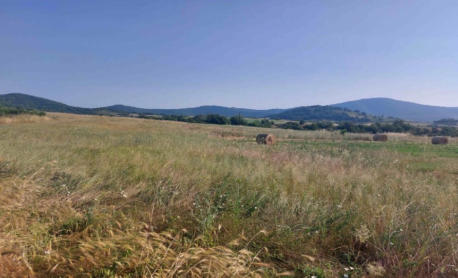 Αγροτεμάχιο 925 τ.μ. σε πλειστηριασμό Δήμος Κιλκίς