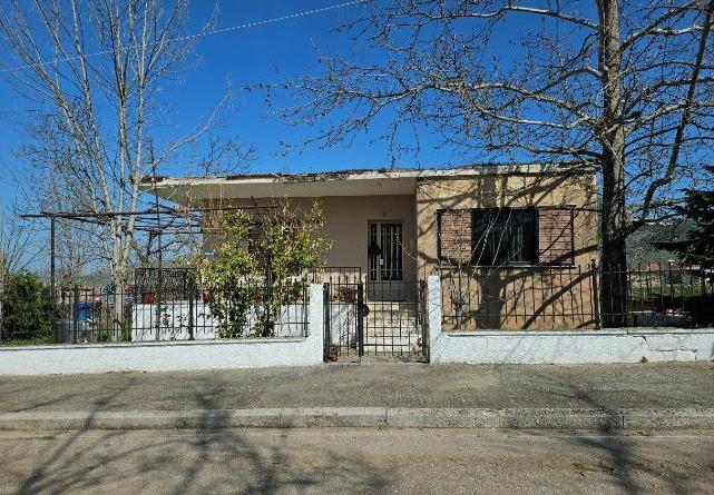 Οικόπεδο με κτίσμα  σε πλειστηριασμό Δήμος Φαρσάλων