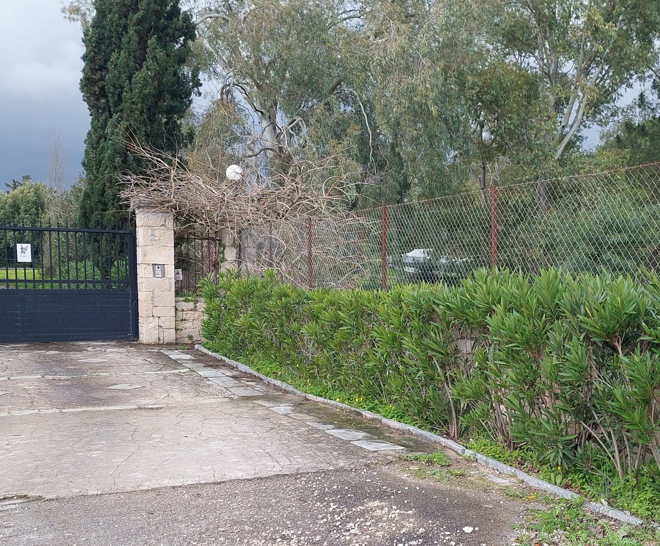 Αγροτεμάχιο  σε πλειστηριασμό Δήμος Ζακύνθου