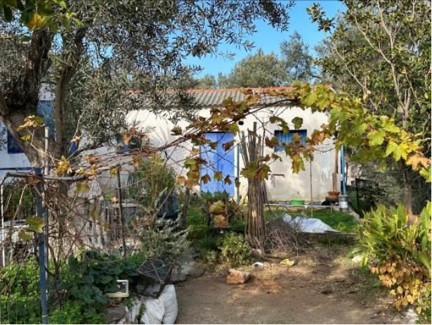 Οικόπεδο με κτίσμα  σε πλειστηριασμό Δήμος Λέσβου