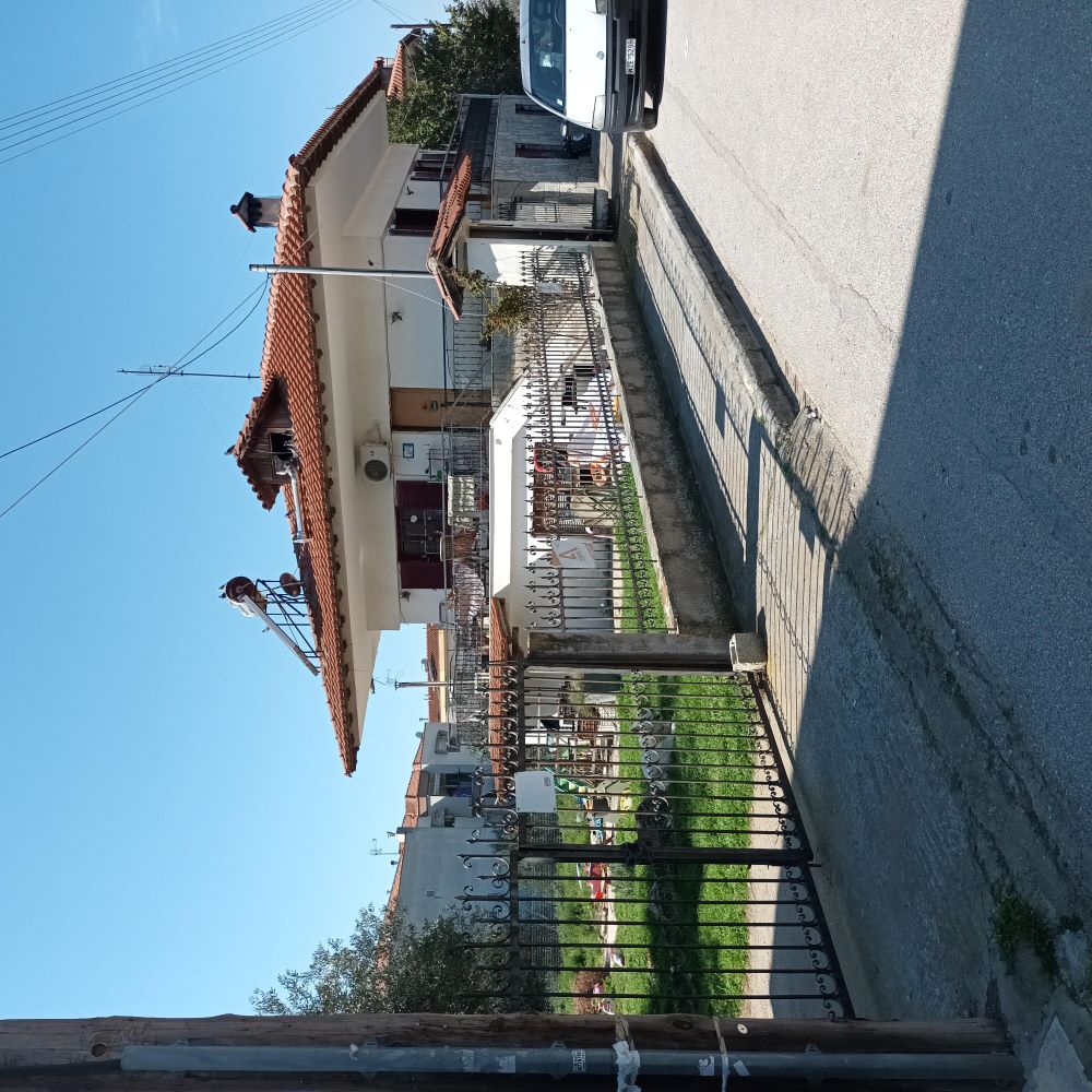 photo1