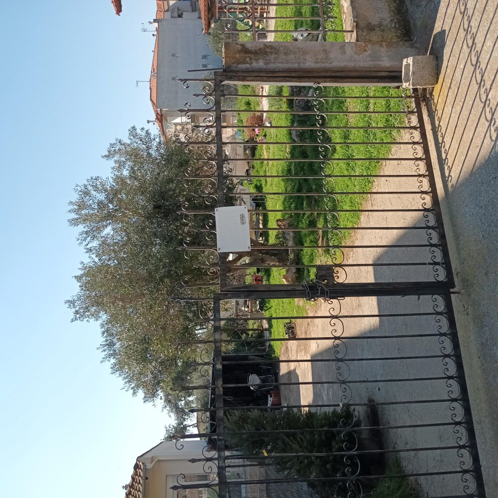 photo2