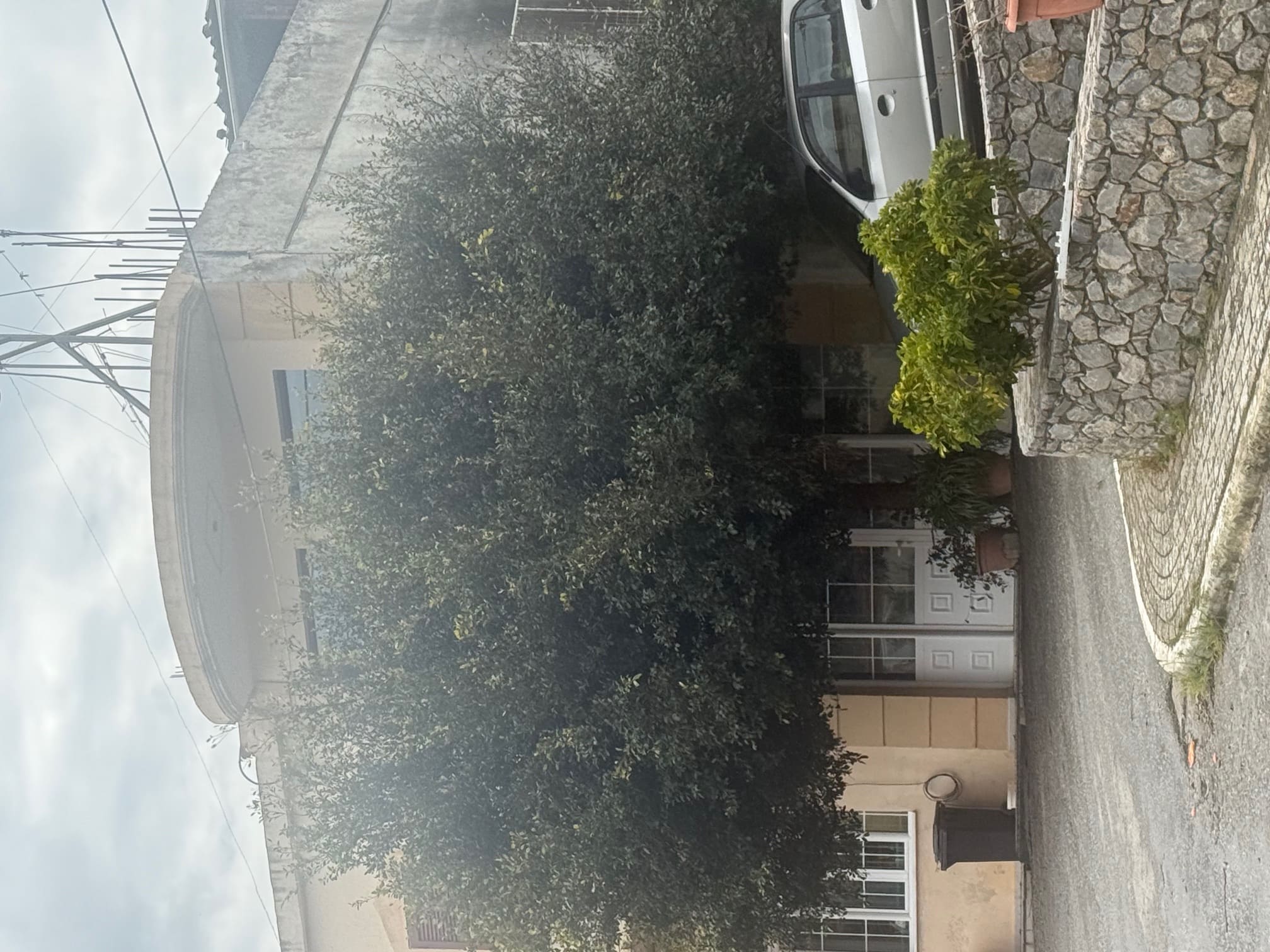Οικόπεδο με κτίσμα 338 τ.μ. σε πλειστηριασμό Δήμος Πλατανιά  