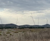 Αγροτεμάχιο  σε πλειστηριασμό Δήμος Ρόδου