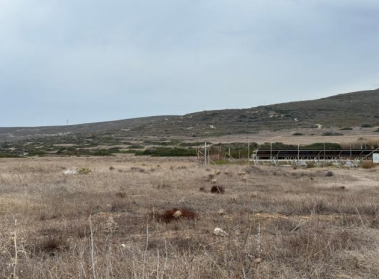 Αγροτεμάχιο  σε πλειστηριασμό Δήμος Ρόδου
