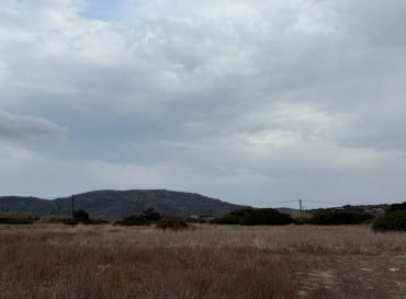 Αγροτεμάχιο  σε πλειστηριασμό Δήμος Ρόδου