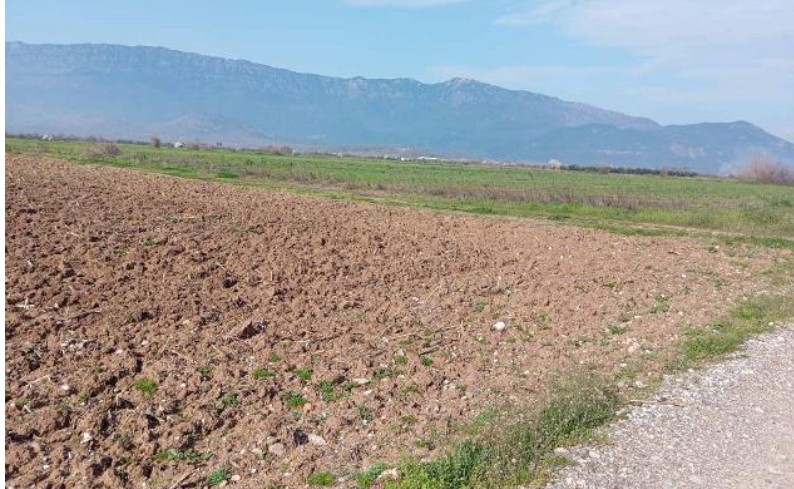 Αγροτεμάχιο  σε πλειστηριασμό Δήμος Μετεώρων