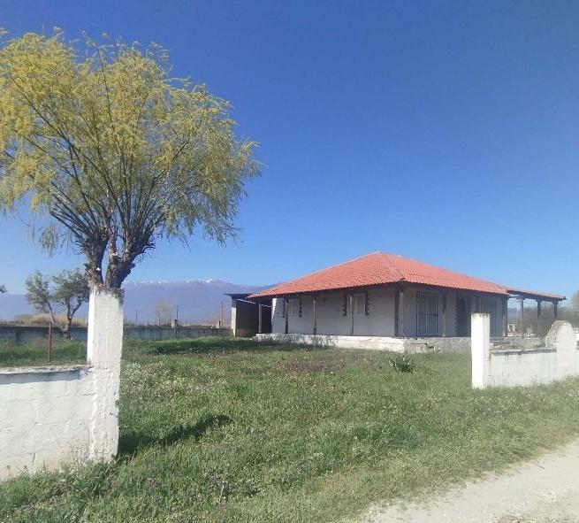 Οικόπεδο με κτίσμα  σε πλειστηριασμό Δήμος Ηρακλείας