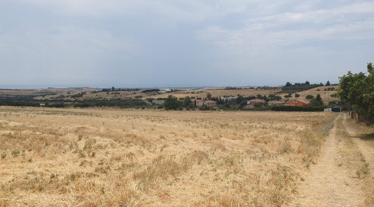 photo0
