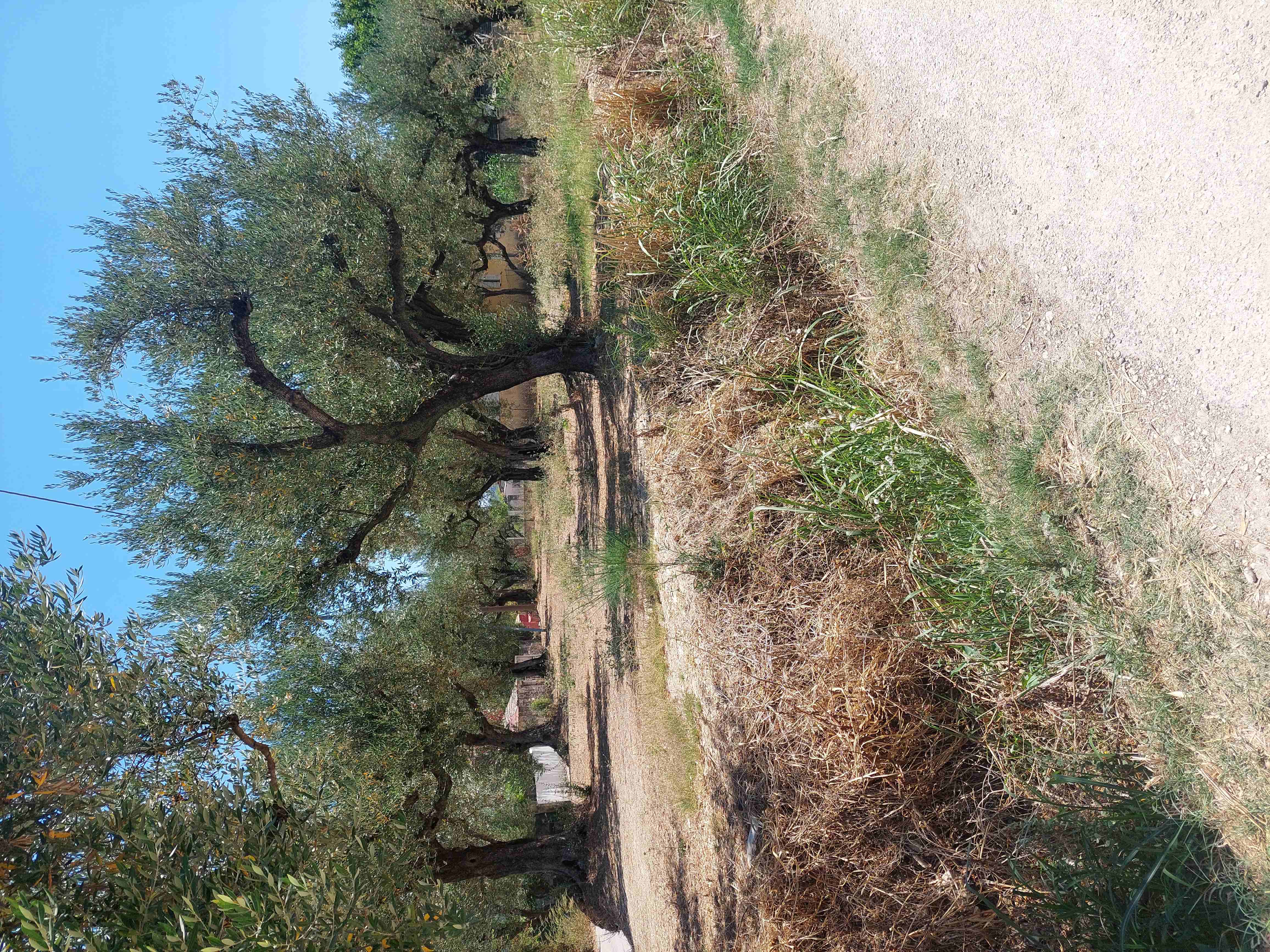 photo1