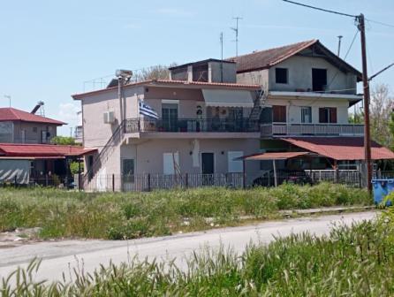 photo2