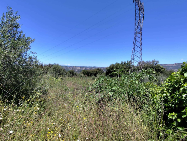 photo1