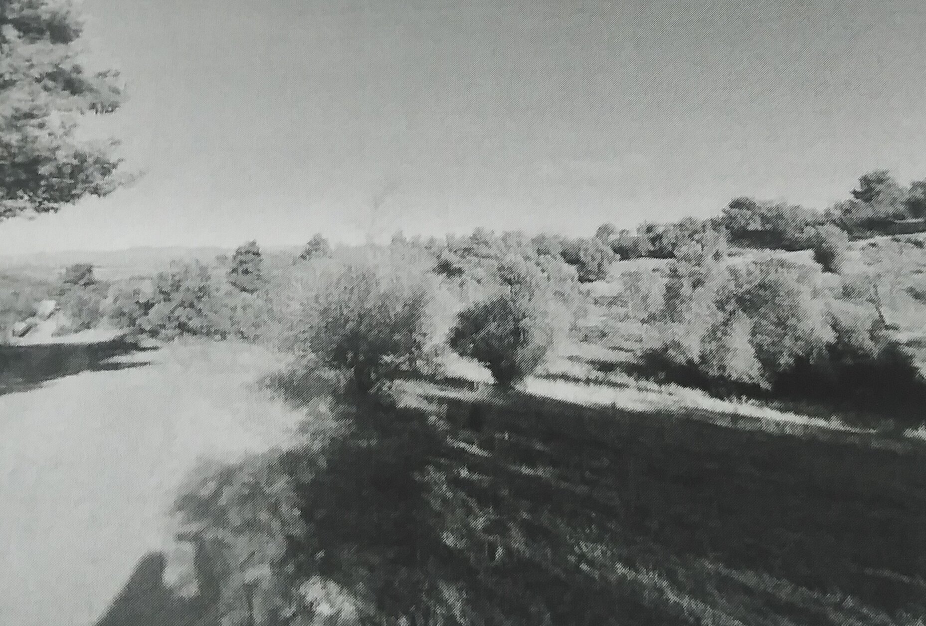 photo0