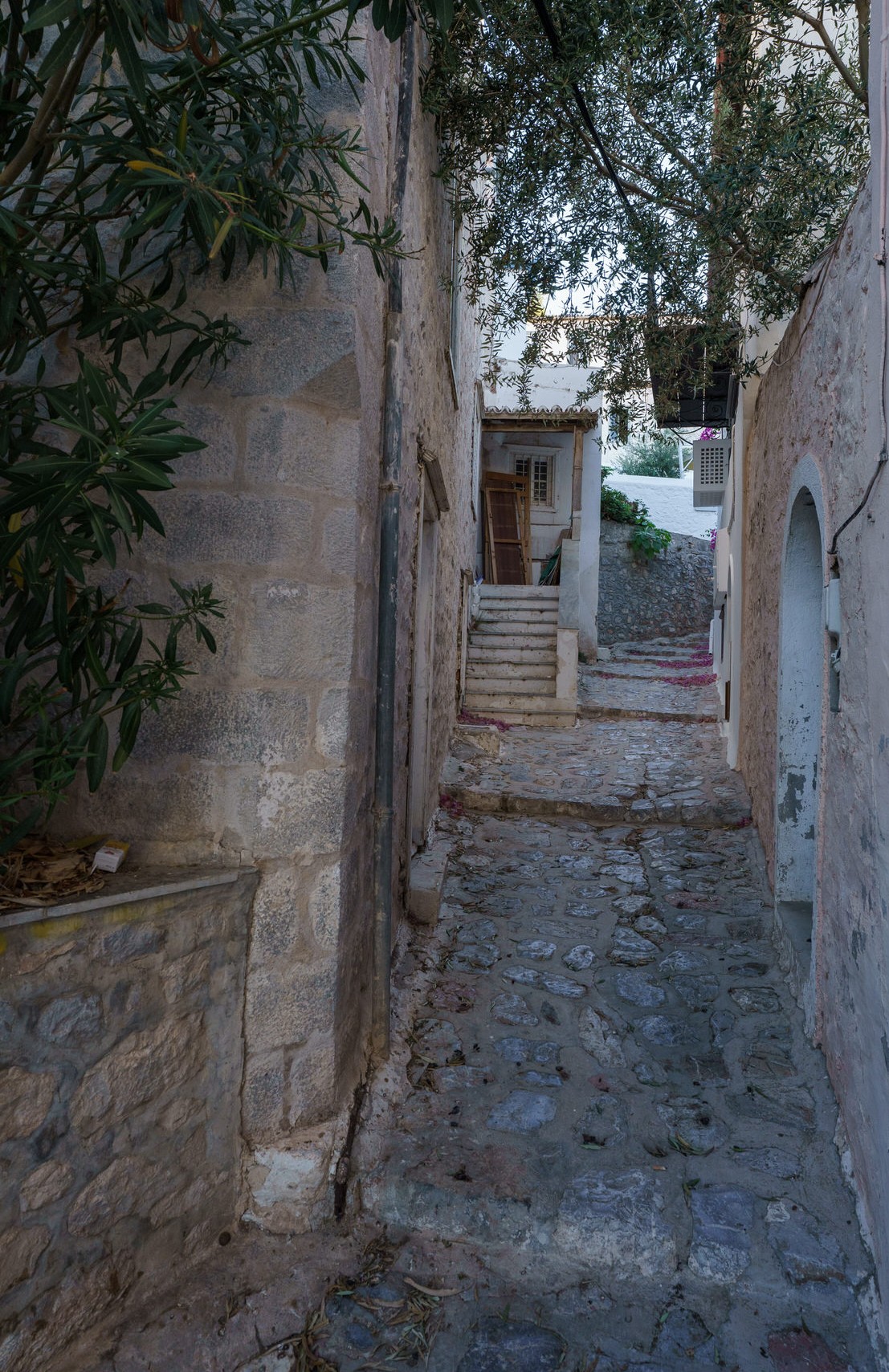 photo1