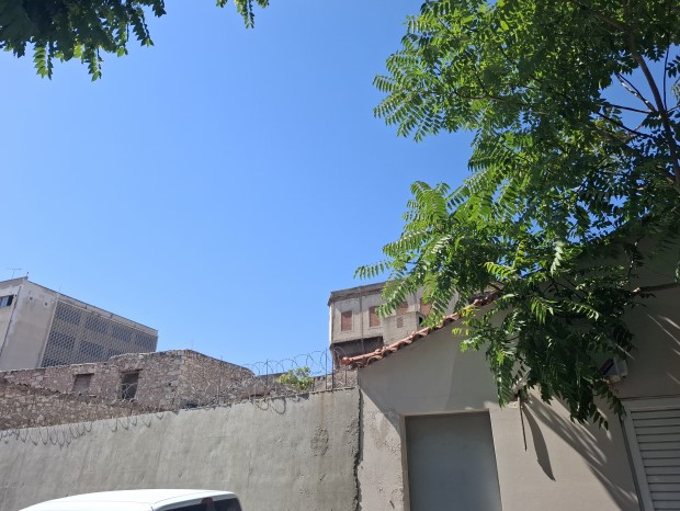 photo1