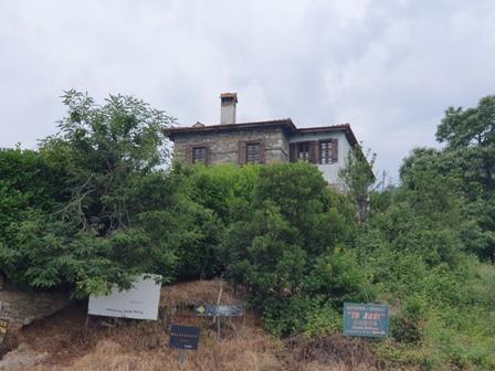 photo1