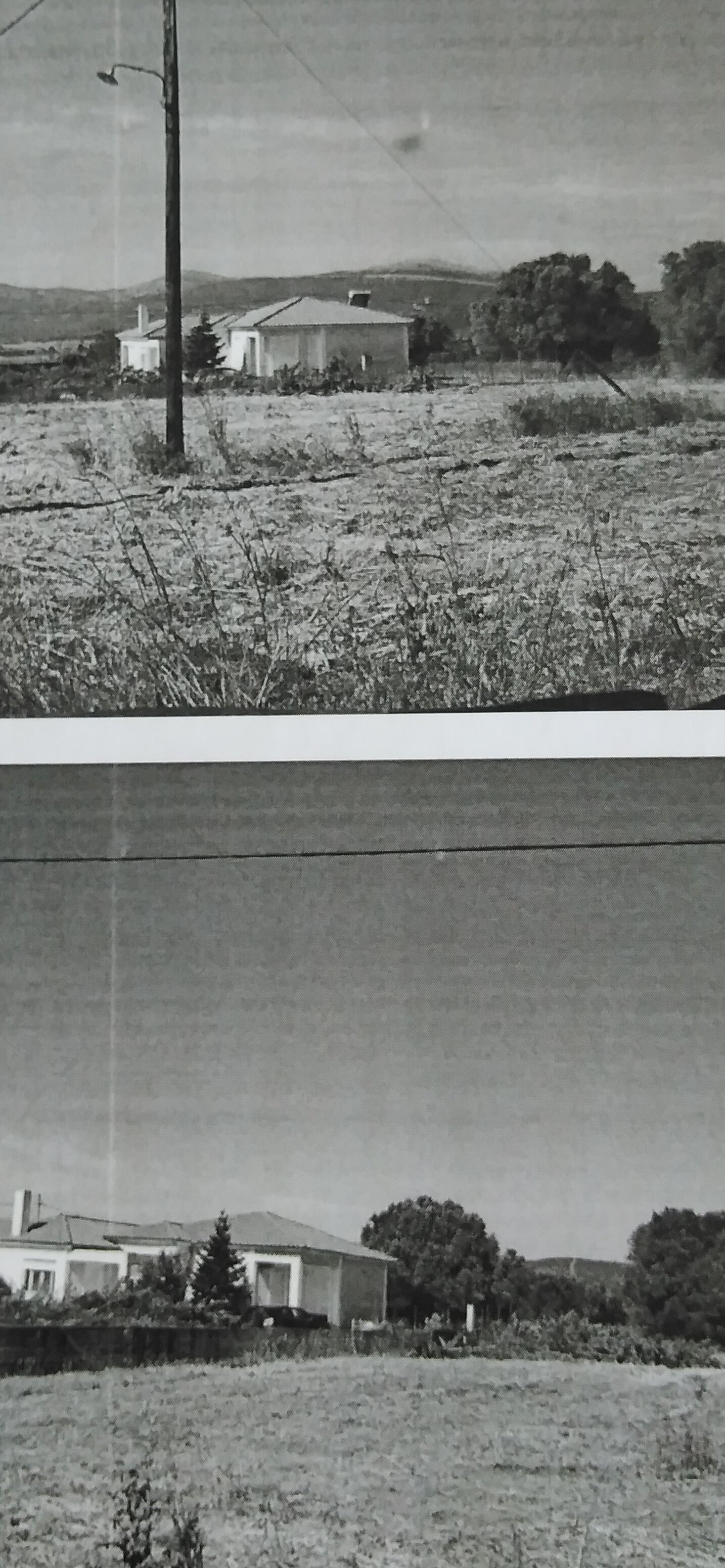 photo0