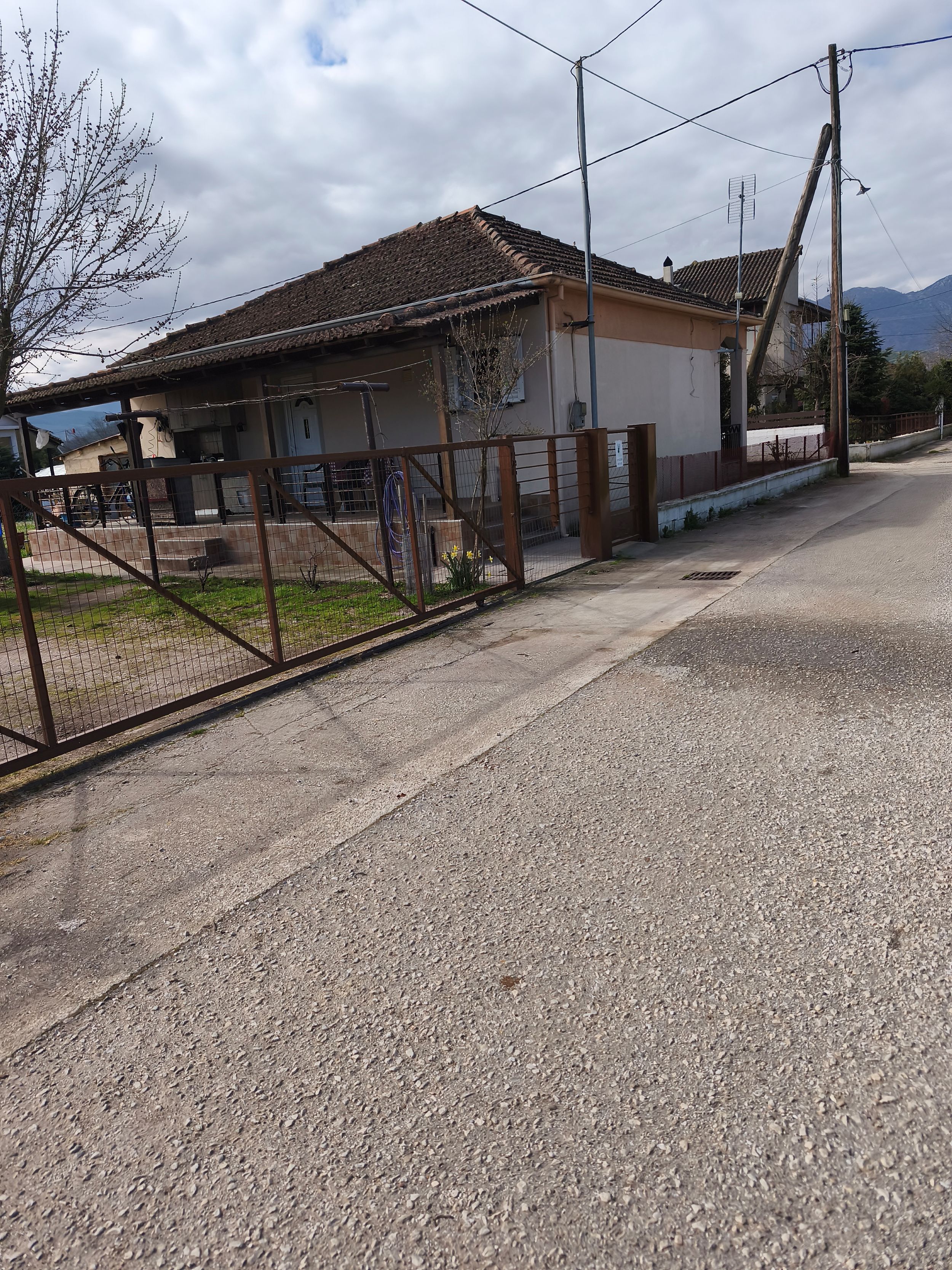 photo1