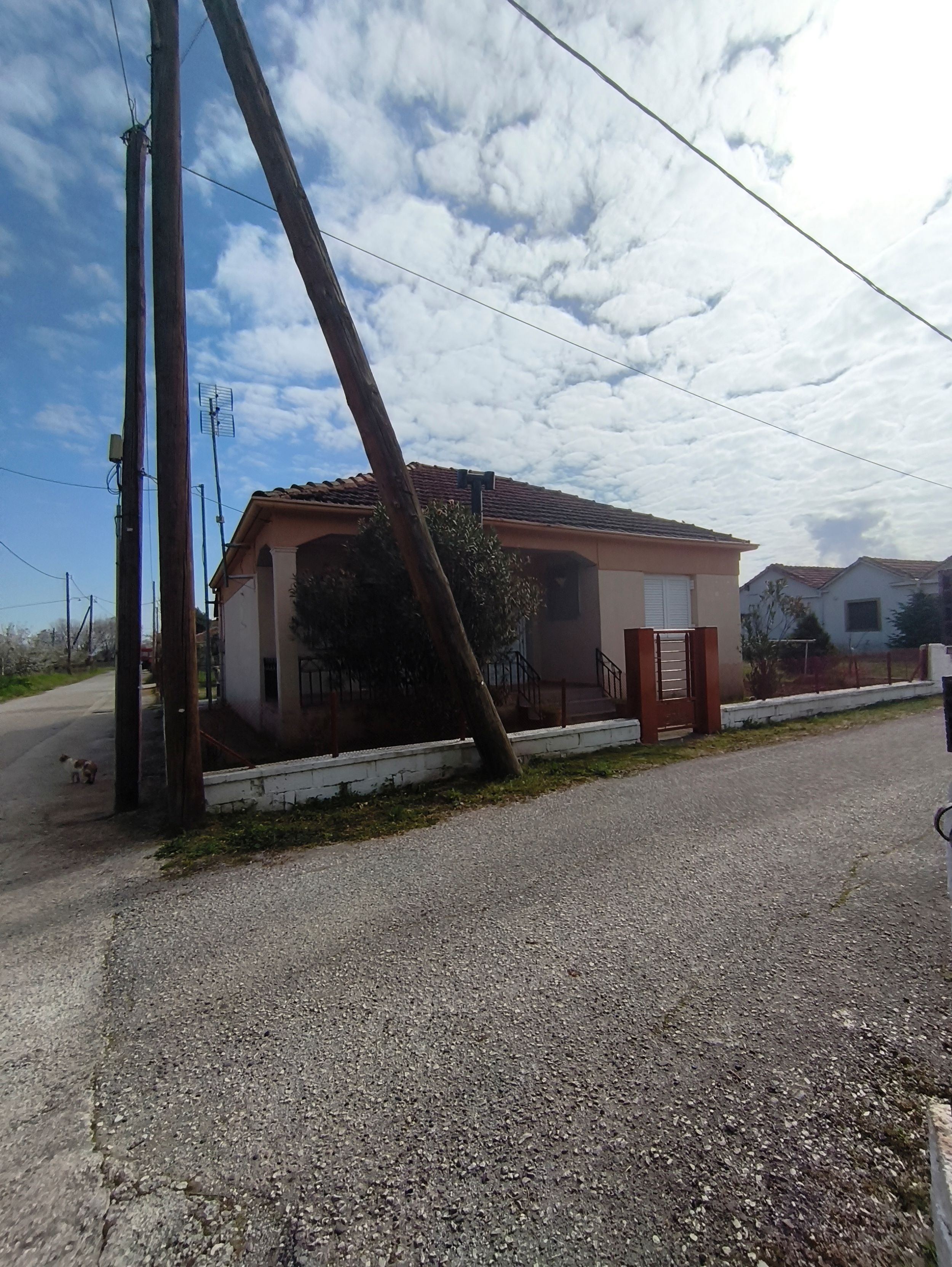 photo4