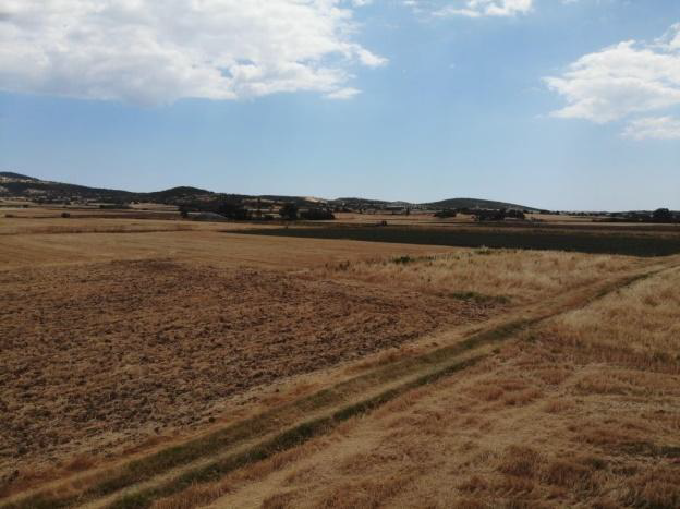 photo0
