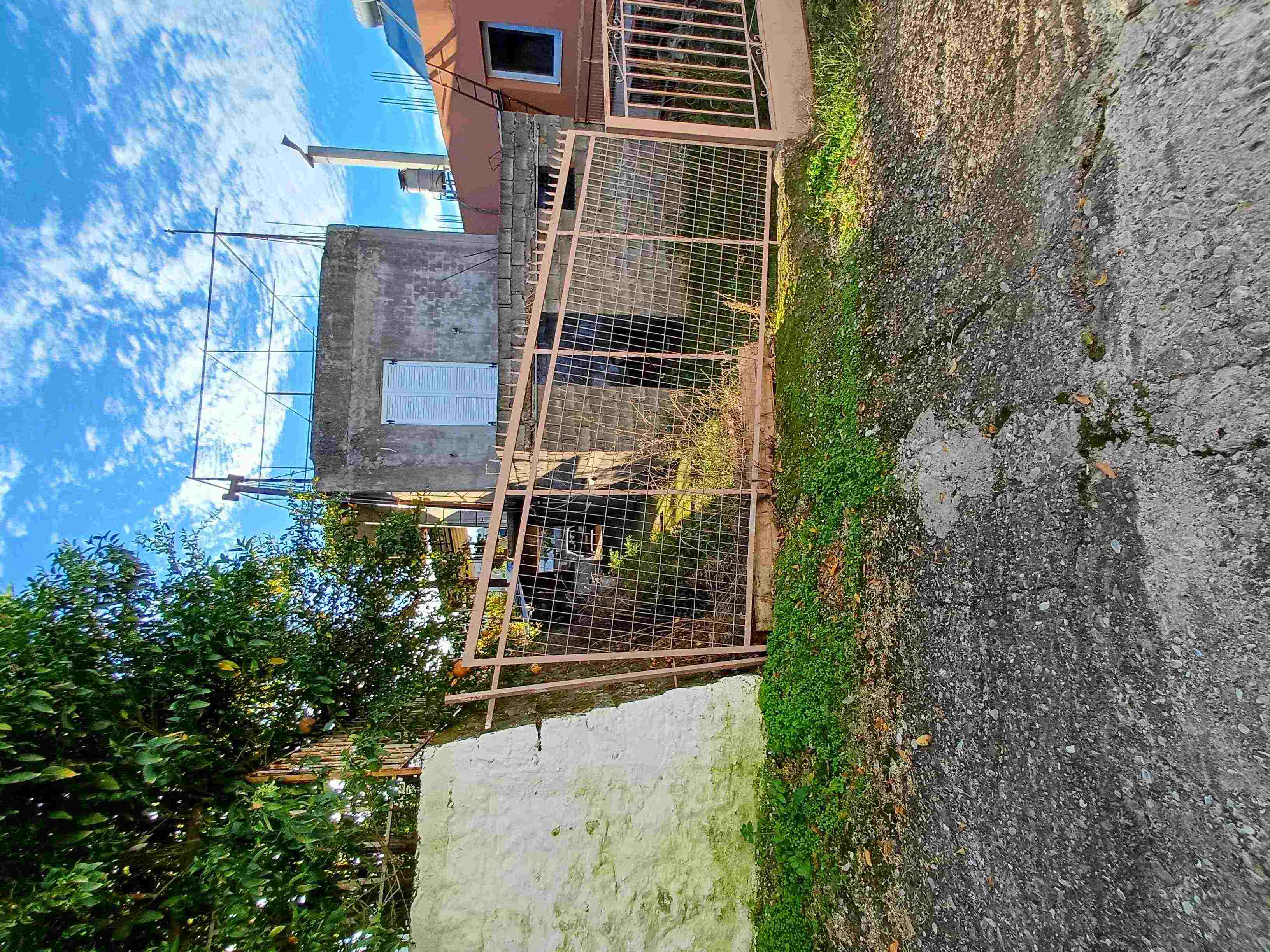photo3