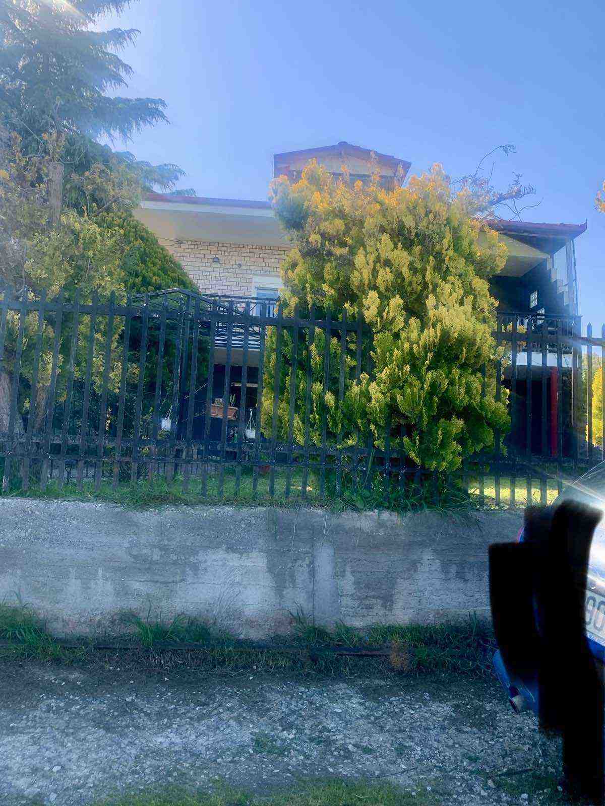photo3