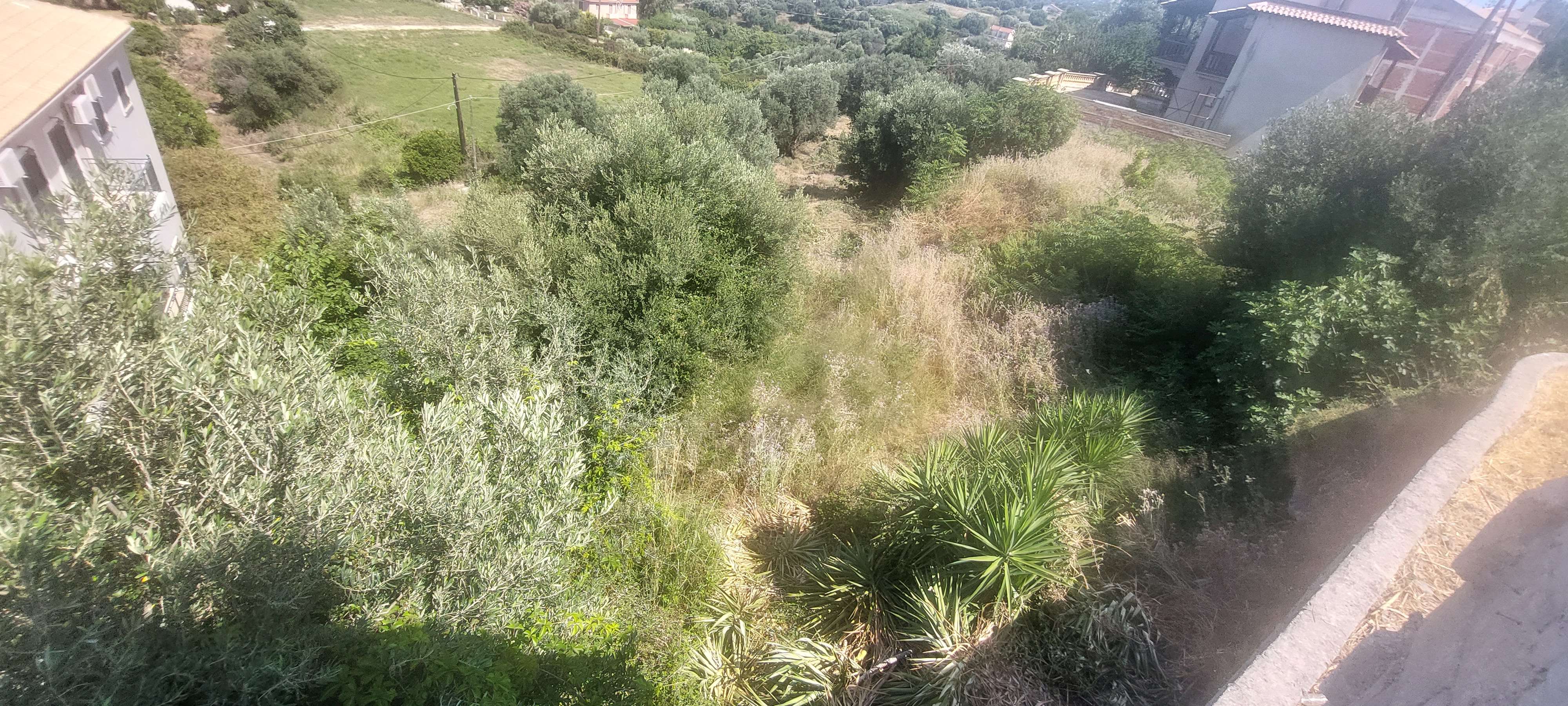 photo1