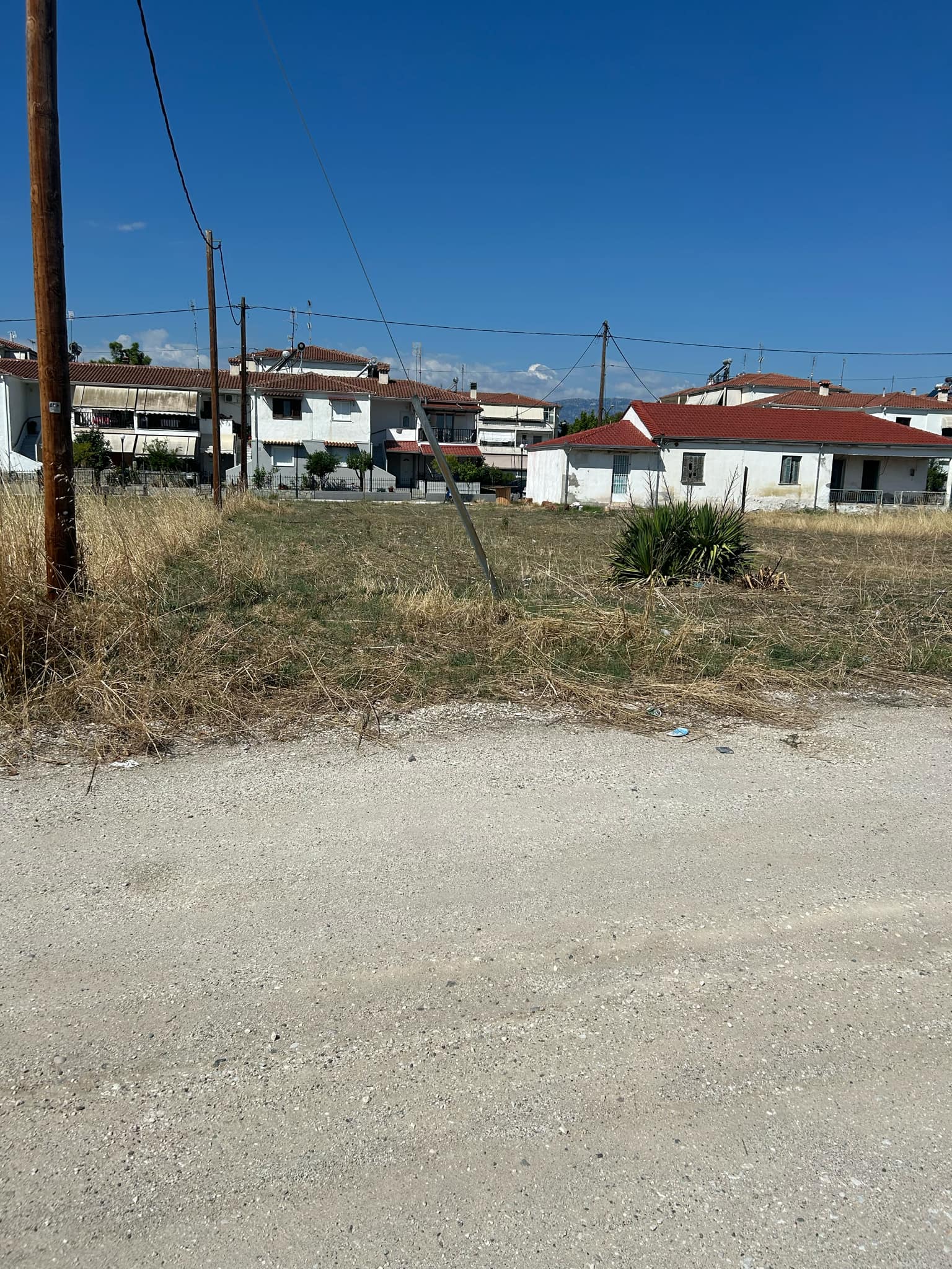 photo3