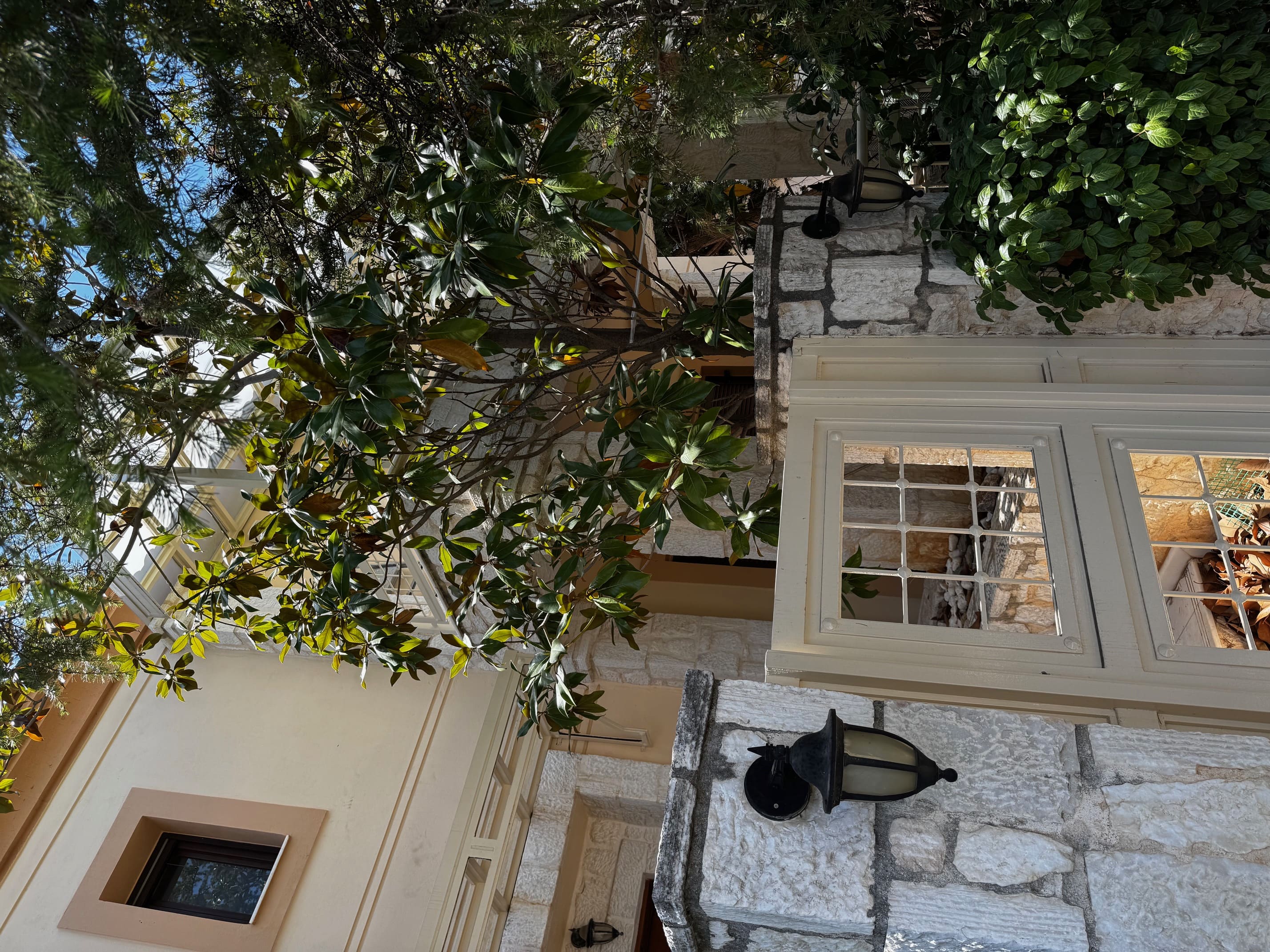 photo1