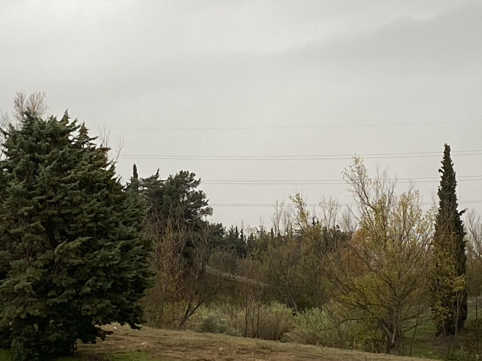 Αγροτεμάχιο 441 τ.μ. σε πλειστηριασμό Δήμος Χαλκηδόνος