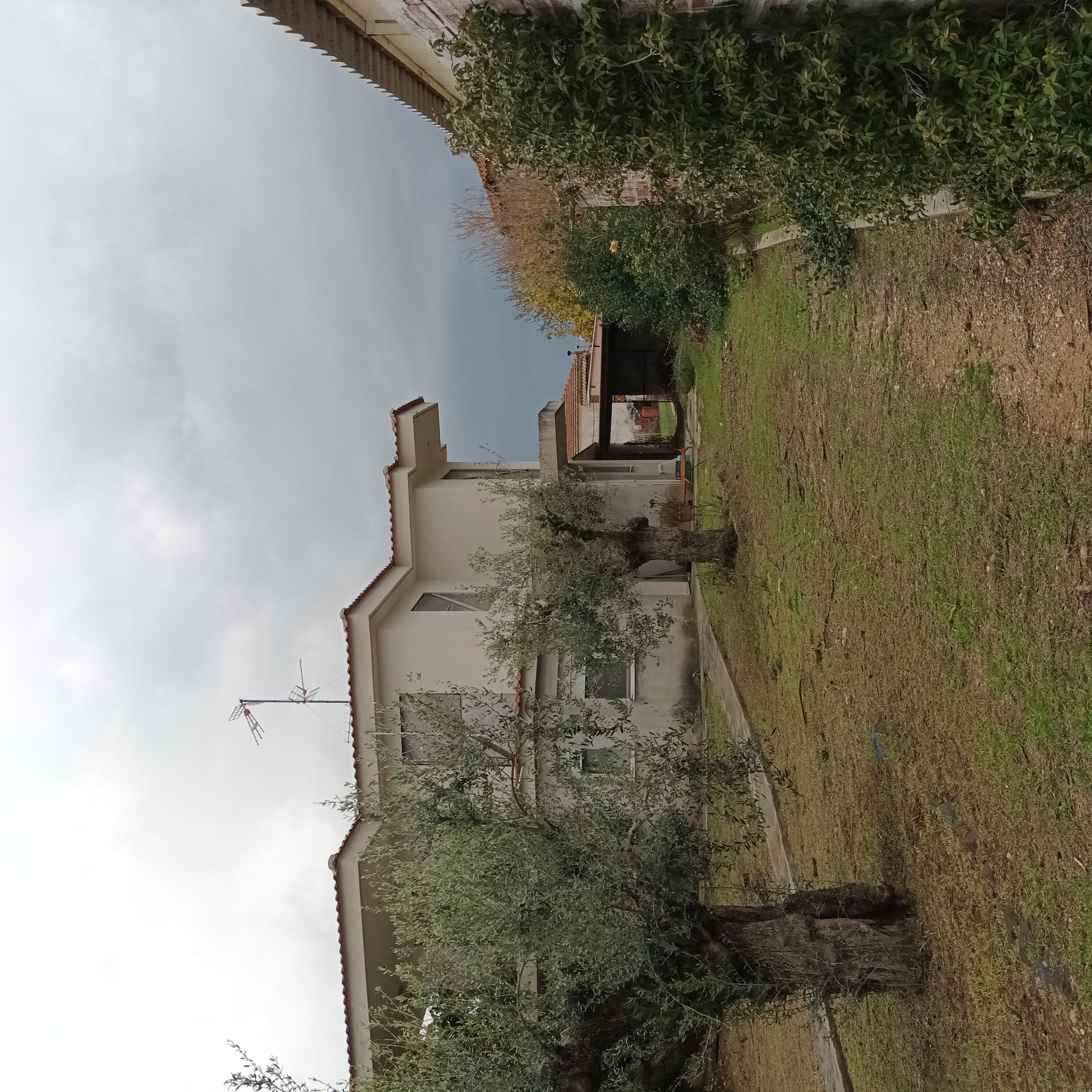 photo1