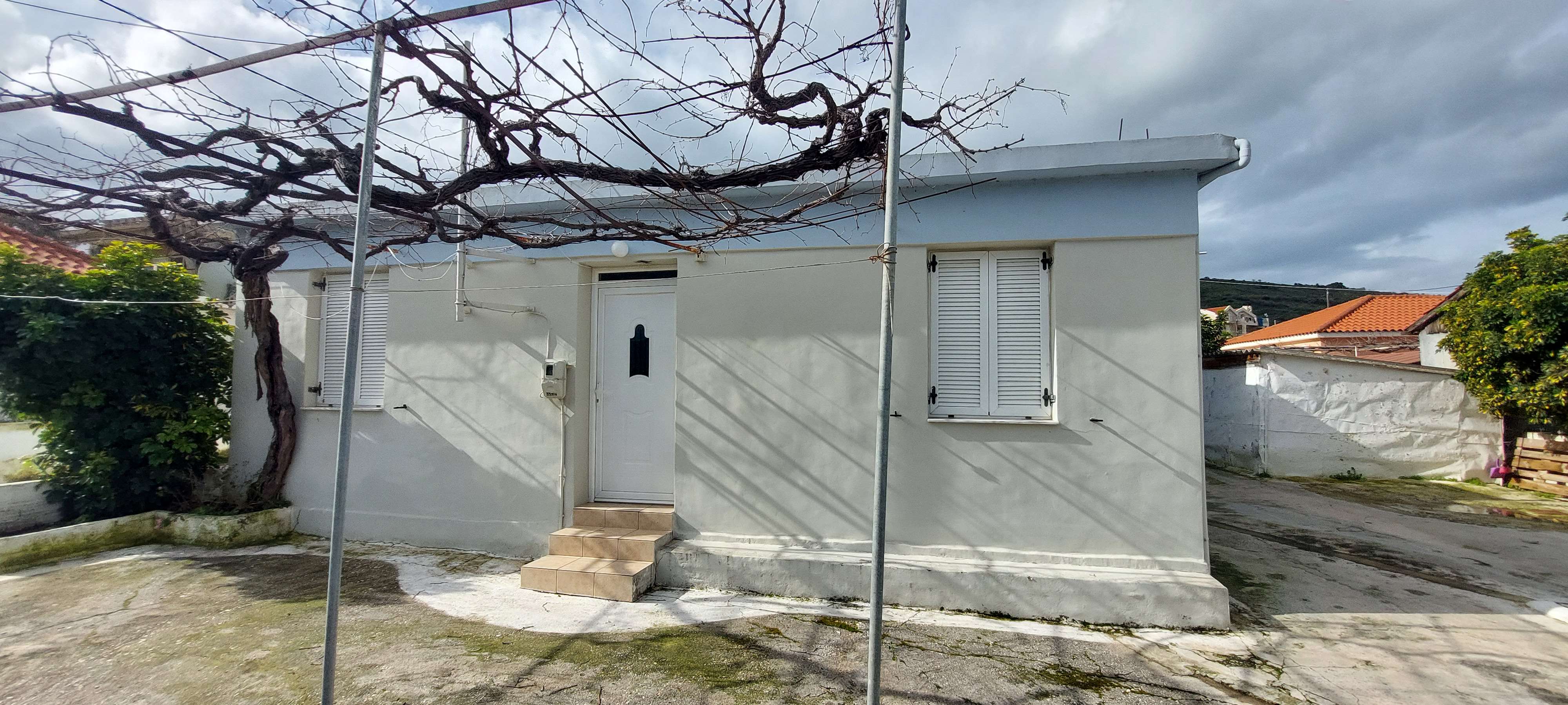 photo1