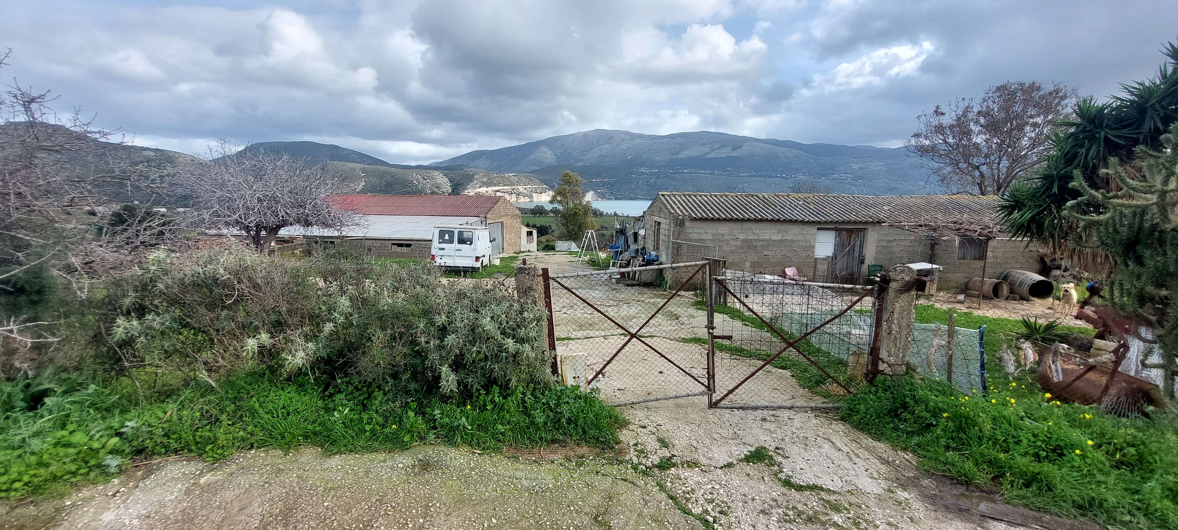 photo5