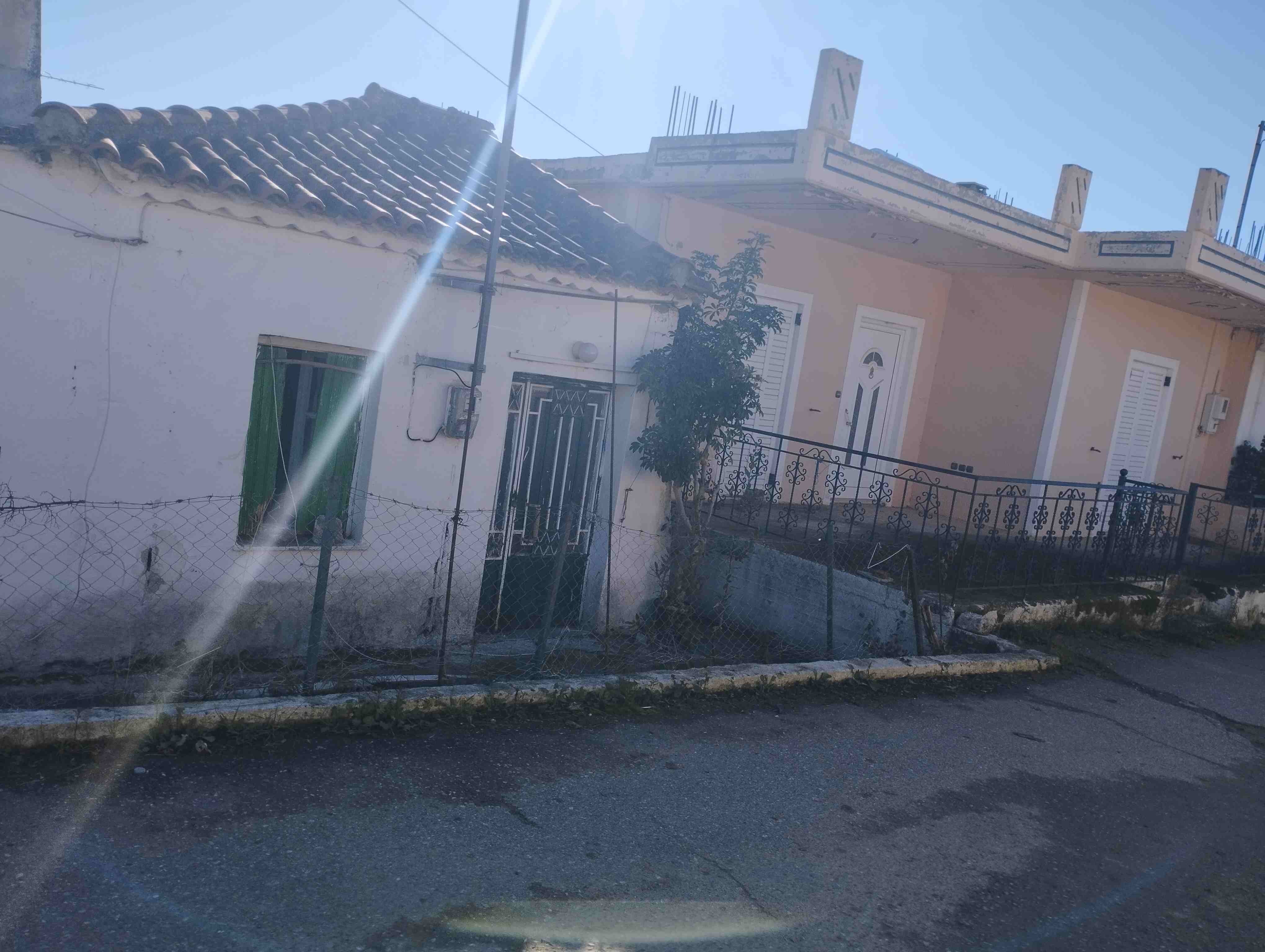 photo1