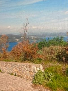 photo1
